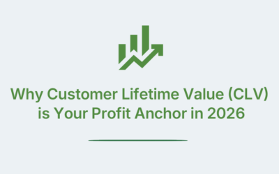 Why Customer Lifetime Value (CLV) is Your Profit Anchor in 2026